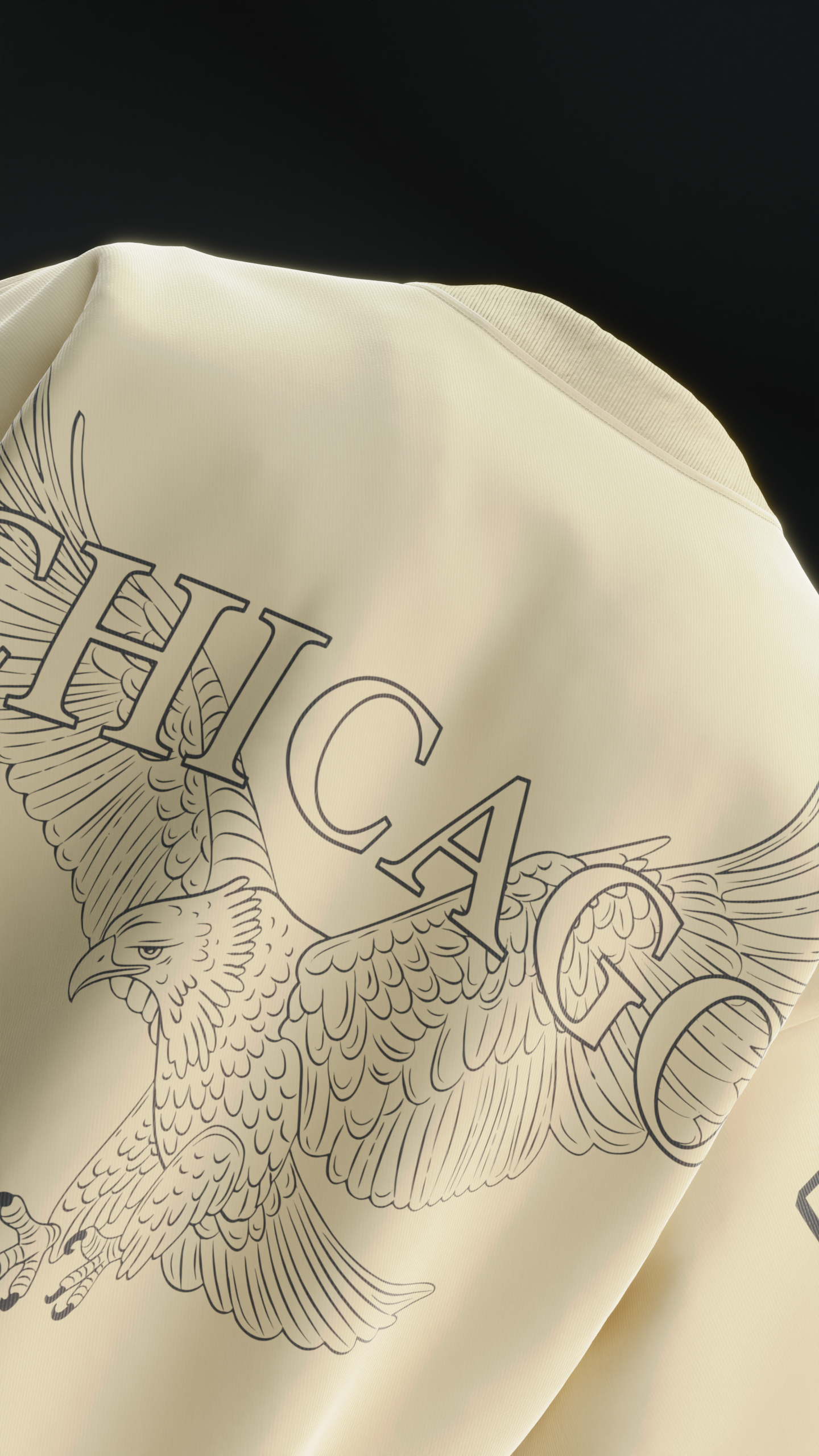 Chicago Eagle Oversized T-shirt