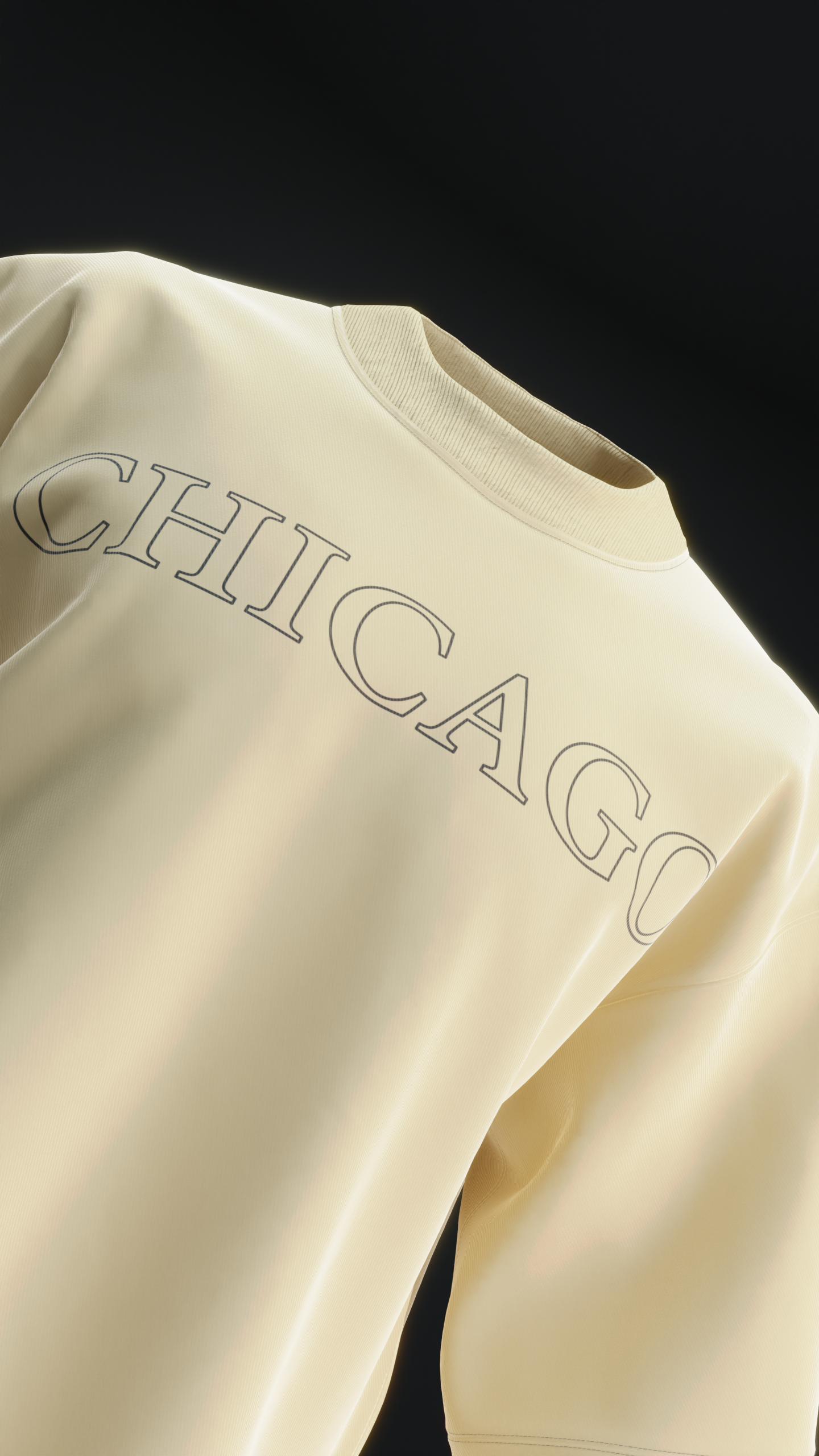 Chicago Eagle Oversized T-shirt